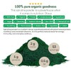 Organic Spirulina Powder, 1 Lb by Sunburst Superfoods
