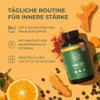 Primal Harvest Gelenk Aktiv Plus - 60 High Dose &