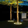 RAYSLIT Solar Landscape Spotlights for Big Tree&Palm Tree Lighting Super