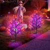 Luiywan Fall Solar Pathway Lights 4PCS, Autumn Outdoor Harvest Decorations,