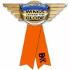 Unbranded Planes Guest of Honor