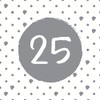 20 Napkins Number 25 on Circle Silver | Silver Wedding