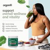 Organifi Daily Greens - Everyday Nutrition and Support - Greens