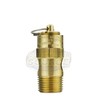 New 3/8" ASME Brass Safety relief Valve 100 PSI American