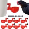 Chicken Waterer Cups | Automatic Large Chicken Water Feeder for