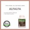 Remedy's nutrition Alfalfa Root Extract l Medicago Sativa 1,000 mg,