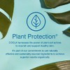 Coola Travel Size Classic Body Organic Sunscreen Lotion Spf 50