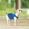 Saintrygo 8 Pieces Dog Shirts Pet Printed Clothes with Funny