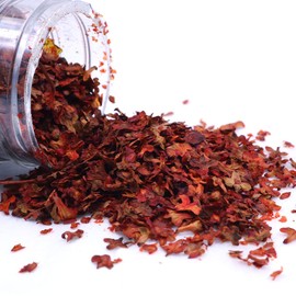 Tiardey 56ML Model Scenery Leaf Litter Models Simulation Leaf Leaves Deciduous Effect - Red leaves