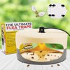 Flea Trap Good Stickiness Safe Ingredients Odorless Indoor Pest Control