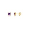 Amberta Allure Women 9 Ct Yellow Gold Synthetic Gemstone Stud