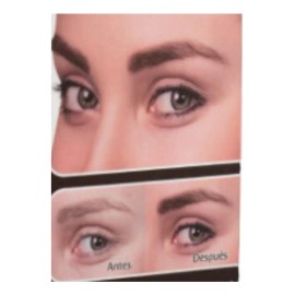 Pigmento Para Cejas J Denis