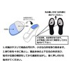 TTCH Pallet Sole for Toes [S Size] [Sole Protection and