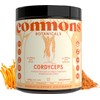 Commons Hongos Adaptógenos - Hongo Cordyceps - Extracto Puro en