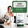 Psyllium Husk 500mg Naíma 240 Cápsulas Suplemento Fibra Digestiva