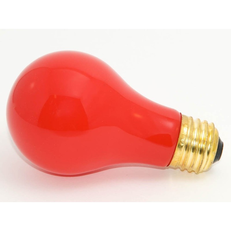 Bulbrite Incandescent A19 Medium Screw Base (E26) Light Bulb, 25