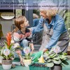 E-feilai - Large Glass Watering Globes for Gift, Self-Watering Bulbs