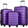 Merax Luggage, Purple, 3 Set