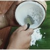 Plai Na Coconut Hand Grater Scraper Shredder Blade Meat Removal