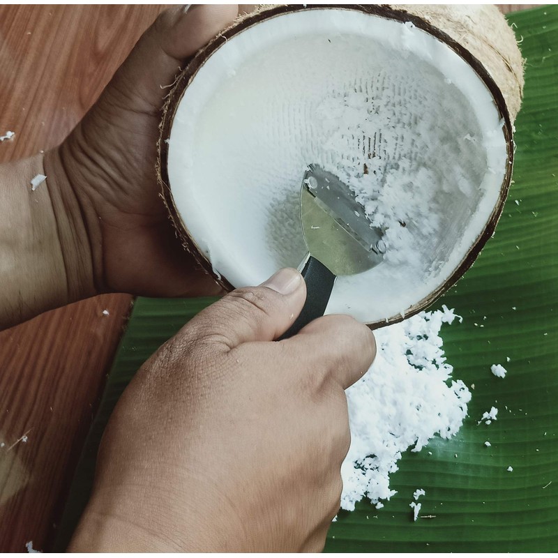 Plai Na Coconut Hand Grater Scraper Shredder Blade Meat Removal