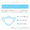 KF94 Mask, 4-Layer Non-woven Mask (20 Pieces), Dark Gray, Spacious