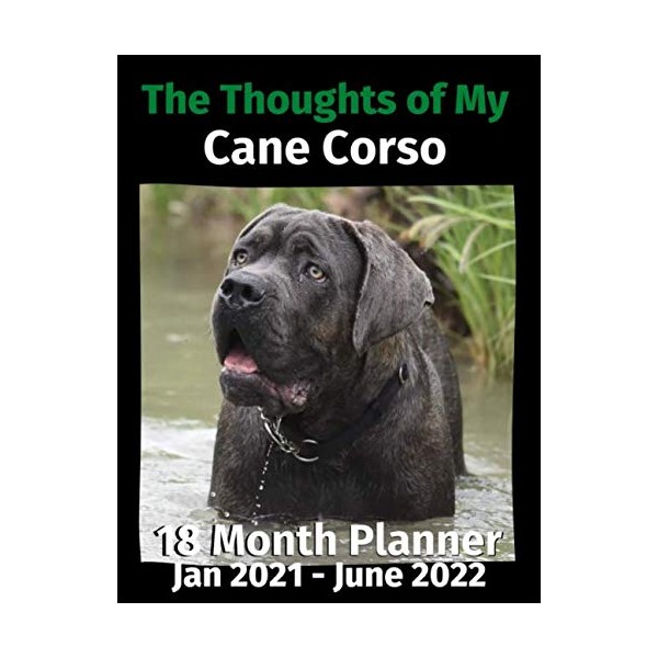 The Thoughts of My Cane Corso: 18 Month Planner Jan