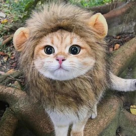 Pet Lion Mane Halloween Costume – Fits Neck Size 6”-8'' - Lion Costume for Small Cats Dogs for Halloween, Birthday, Cosplay, Cat Outfits, Pet Clothes (Brown, Medium)