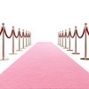 HOMBYS 450 GSM Extra Thick 3x15 ft Pink Carpet Runner