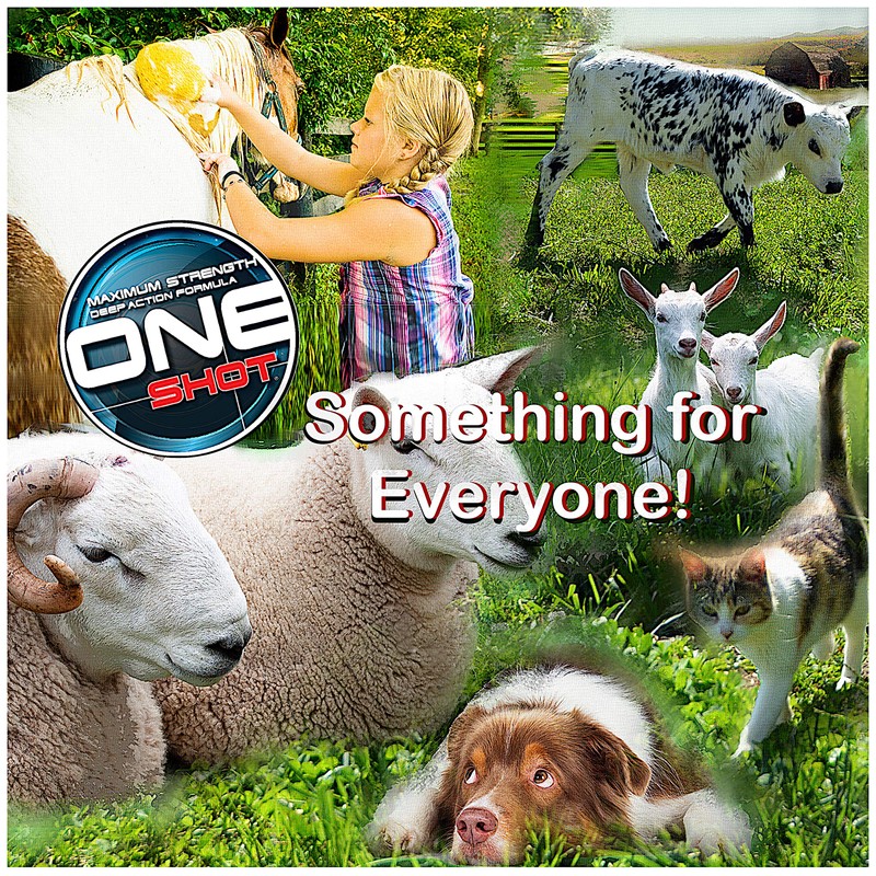 Best Shot Deodorizing Pet Shampoo