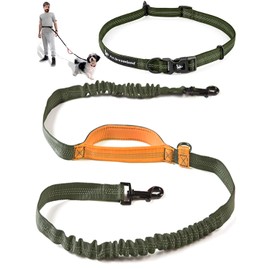 Exquisite Hands-Free Dog Leash for Medium Dogs: Perfect for Active Pet Owners Comfortable, Durable & Ideal for Running, Walking, Hiking. Premium Dog Waist Leash with Bungee. Must-Have Dog Gear
