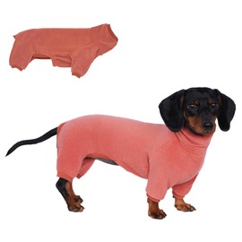 Dachshund Dog Turtleneck Sweater - Warm Winter Clothes for Dachshund Winter Outfit for Teckel (Red, M)