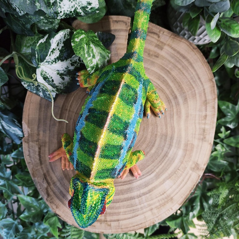 Vivid Arts - Chameleon - PP-CHAM-F