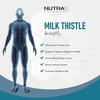 Organic Milk Thistle Supplement (80% Silymarin) 20,000mg – Milk Thistle