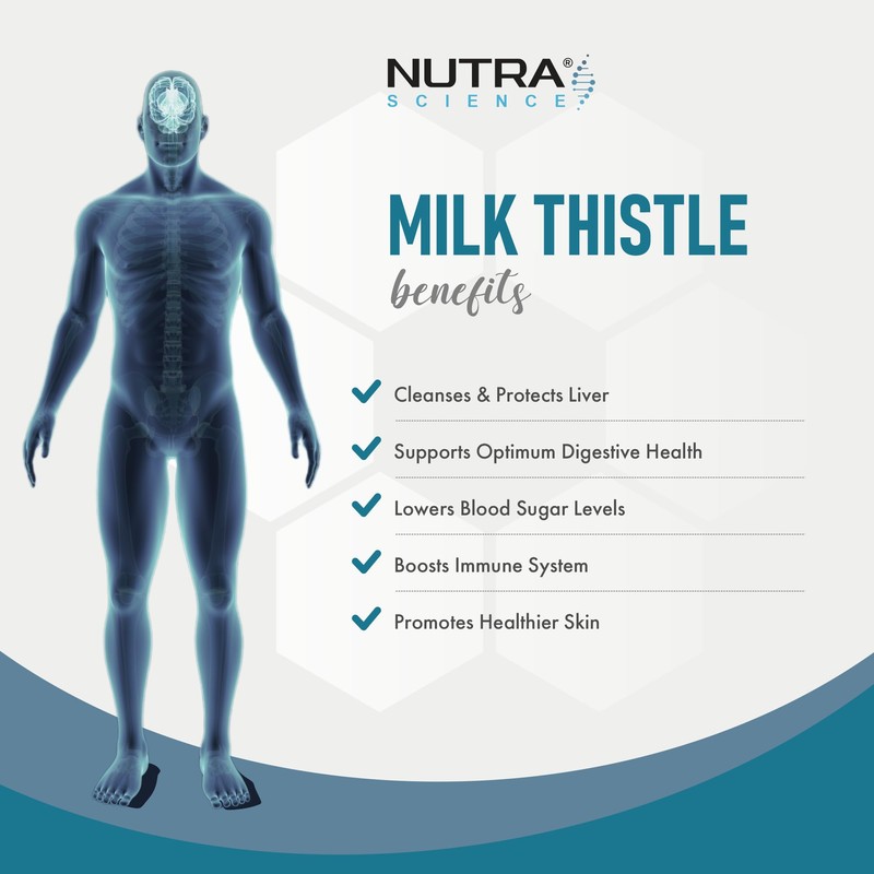 Organic Milk Thistle Supplement (80% Silymarin) 20,000mg – Milk Thistle
