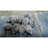 White 10 Butternut tree seeds (Juglans cinerea) aka White Walnut
