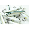 LUCKY CRAFT B'Freeze 100 SP Pointer Wobbler 18g Sassy Shad