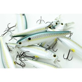 LUCKY CRAFT B'Freeze 100 SP Pointer Wobbler 18g Sassy Shad