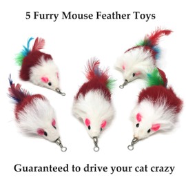 Pet Fit For Life 10 PC Squiggly Worm Furry Mouse Cat and Kitten Feather Toy Replacement Pack
