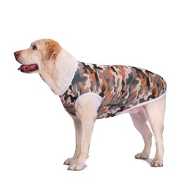 Pet Clothes, Large Dog Shirt Camouflage T Shirt Breathable Dog Sunscreen Clothes Outfits Vest Apparel for Medium Large Dogs (30/3XL:Green Camouflage)