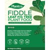 Fiddle Leaf Fig Tree Plant Food - Fertilizer Granules Feed