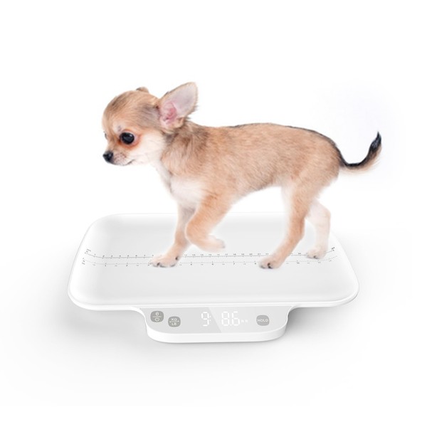 STARSUM Multifunctional Newborn pet Scale,whelping Scale, Accuracy 0.035 oz, Maximum