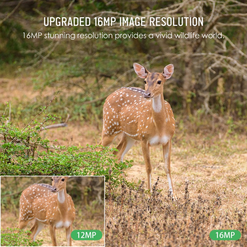 Trail Camera 16MP 4K Waterproof Game Hunting Camera with Night