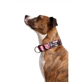 Tooth and Honey Pitbull 1.5" Wide Pig Martingale Collar