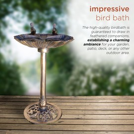 Alpine Corporation | 31" Tall Outdoor Birdbath with 2 Bird Figurines — Shallow and Wide Bird Feeder, Bronze Garden Accent