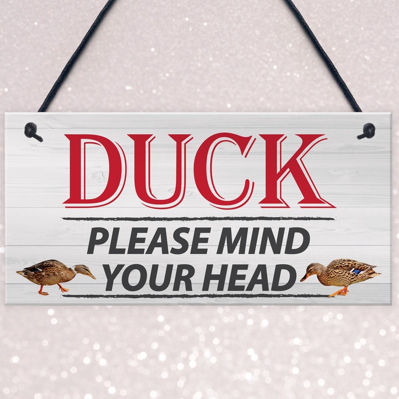 RED OCEAN DUCK! Please Mind Your Head Friendship Home Gift