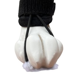 Labra Dog Canine Knuckling Corrector Toe Dragging Brace Wrap for Front or Rear Back Leg Paw