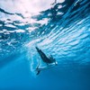 yuejuhe Removable Surfboard Fin, Universal Nylon SUP Fins with Screws