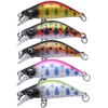CONTYU Mountain Stream Minnow 5 Set, Punching Out Small Areas,