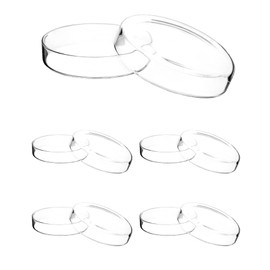 QWORK Glass Petri Dishes with Lid, Thicken, 120mm x 26mm, 5 Pack