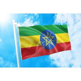 DMSE Ethiopia Ethiopian Star National Flag 2X3 Ft Foot 100% Polyester 100D Flag UV Resistant (2'X3' Ft Foot)